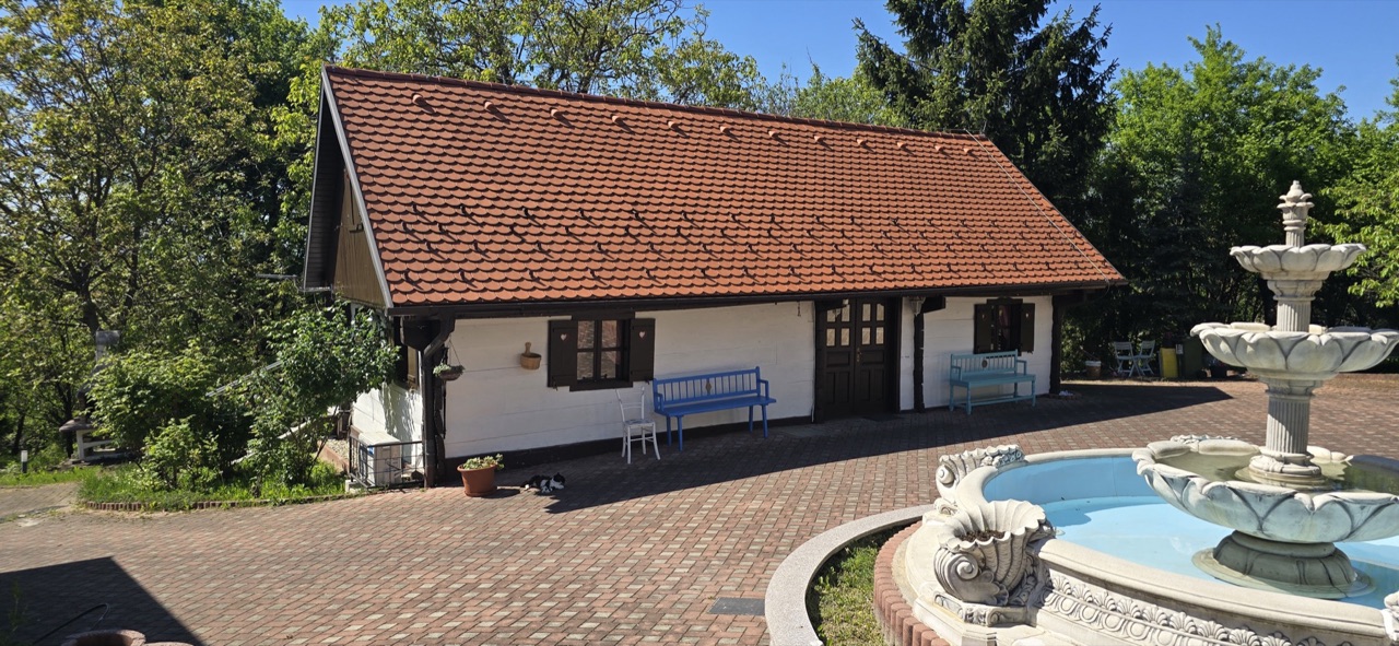Uređeno dvorište s popločenim prilazom i zelenilom